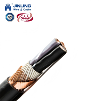 Cable de Cobre con Aislamiento de PVC de 0.6/1kv, Doble Cubierta, Conductor Concéntrico Redondo, 2, 3, 4 Núcleos