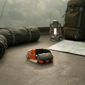 <span class=keywords><strong>Collar</strong></span> con Rastreador GPS para Perros de Razas Grandes con Función Inteligente y Sistema de Alerta Sonora - Product Image 1