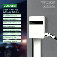 Nuevo Cargador para Vehículos Eléctricos Huinengzhi HNZ-20KW de Marca Blanca, 20KW, con Enchufe GB/T CCS2 para Reequipamiento/Actualización de Estaciones de Carga para Vehículos Eléctricos