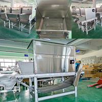 Hoge Productiviteit Knoflook Peeling Machine Ketting Knoflook Peeling Machine Commerciële Knoflookmachine