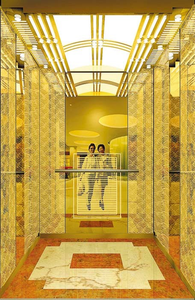 Ascensor Residencial de Lujo Otis, Precio de Fábrica, Moderno, 0.4m/s, Elevador Pequeño de Acero de Alta Resistencia, Diseño Seguro y Duradero - Product Image 2