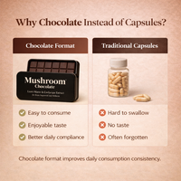 Fabricant OEM de chocolat aux champignons, complément alimentaire fonctionnel à marque privée
