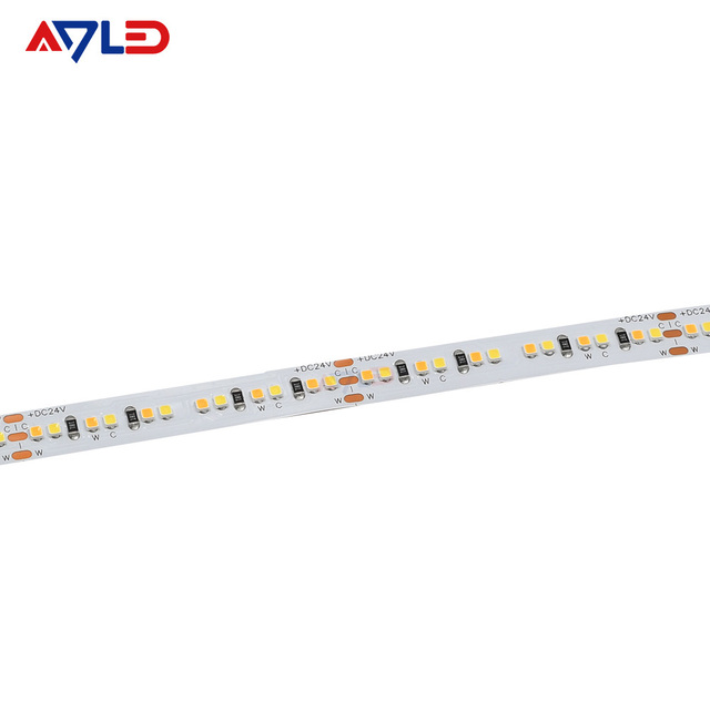 High Cri 90 Smd 2216 CCT Led Strip Light 240led Dual Color White Tunable 240leds/m led strips light
