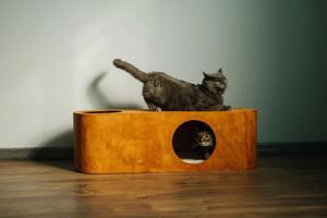 Salon <span class=keywords><strong>chat</strong></span> hamac Place moderne <span class=keywords><strong>chat</strong></span> <span class=keywords><strong>caisse</strong></span> <span class=keywords><strong>en</strong></span> <span class=keywords><strong>bois</strong></span> chaton lit meubles pour animaux de compagnie - Product Image 5