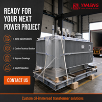 Transformateur abaisseur triphasé immergé dans l'huile 11 kV 60 Hz pour projets industriels