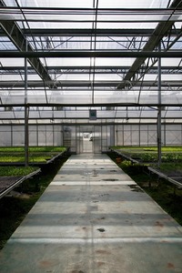 Serre en verre multi-voûtes Skyplant avec ventilation automatique puissante du toit et rideaux latéraux pour un refroidissement efficace dans les régions chaudes - Product Image 2