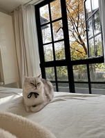 Ventana de Acero con Toldo, Fabricante de Ventanas de Acero Negras Personalizadas, Estilo Francés Moderno, Marco Delgado, Insonorizadas y Térmicas para Apartamentos