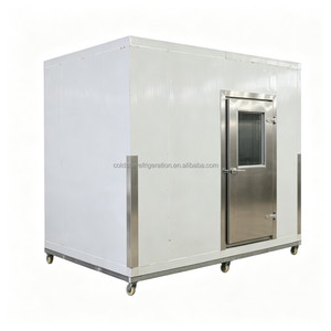 Chambre froide commerciale combinée, réfrigérateur et congélateur, double température, pour cuisine d'hôtel et restauration - Product Image 5