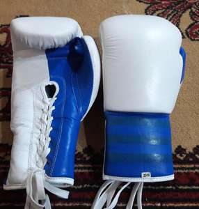 Mitaines professionnelles de Muay Thai Kickboxing Training et gants de combat pour la boxe et les arts martiaux - Product Image 1