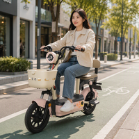 Bon prix, moteur sans balais 400W, vitesse 32 km/h, autonomie 45 km, vélo électrique à deux places pour adultes
