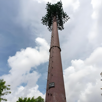 Mât d'antenne en acier de 15 m, camouflage arbre bionique, pour signal 4G 5G Wifi, monopode de télécommunications
