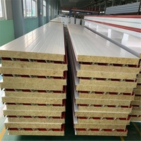Panneau sandwich en laine de roche haute densité, ignifuge et insonorisant, en acier coloré, pour maisons préfabriquées