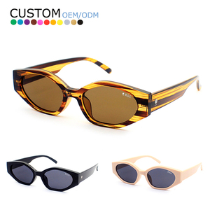 Sunway Eyewear New Trendy Cat Eye Ladies Sun Glasses Polygon Small Frame Rectangle Classic Women Shades Sunglasses - Product Image 1