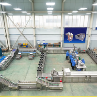 Aangepaste ervaring Volledig automatische hoogcapaciteits 2000kg fruit snoep friteuse aardappelchips productie verwerkingsmachine friet