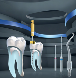 Ensemble de Fresas Rotatives en NiTi pour Canaux Radiculaires, Instruments d'Endodontie pour Nettoyage et Modelage, Outils Dentaires en Nickel-Titane Thermiquement Traité - Product Image 2