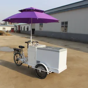 Drei Räder klassisches mobiles Eis wagen Fracht Dreirad auf heißem Verkauf