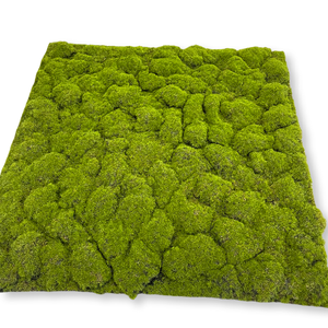 หญ้าเทียมไหมคุณภาพสูงสำหรับตกแต่งภูมิทัศน์ ปั้นแต่งทรง หญ้ามอส หญ้าเทียมสำหรับตกแต่งภูเขา หญ้ามอสสำหรับงานประดิษฐ์ - Product Image 6