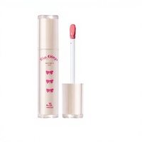 Gloss à lèvres hydratant et repulpant à base d'huile certifié Halal BPOM, enrichi en vitamine E, effet miroir, vente en gros sous marque privée