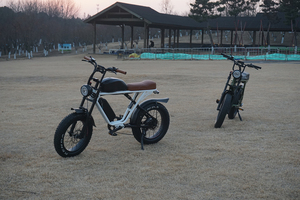 จักรยานไฟฟ้าไฮบริด 73 รุ่น Super Dual Battery ล้อโต 20 นิ้ว ยาง Fat Tire มอเตอร์หลัง 1000 วัตต์ ระยะทางไกล 7 สปีด - Product Image 5