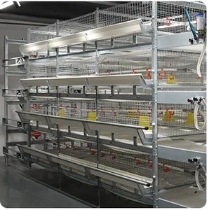 Sistema de cobertizo moderno para cría de aves de corral automático grande con jaula de batería para gallinas ponedoras tipo H