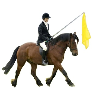 Professional Hot Sales Sublimation Custom Decorative Hanging Guide <b>Flag</b> With Retractable Telescoping <b>Pole</b> - Product Image 6