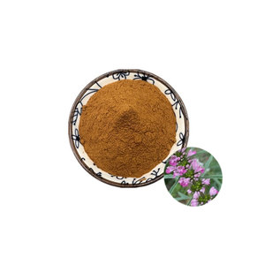 Groothandel In Water Oplosbaar Leonuri <span class=keywords><strong>Extract</strong></span> Poeder Motherwort Kruid <span class=keywords><strong>Extract</strong></span> Poeder Motherwort <span class=keywords><strong>Extract</strong></span> Poeder - Product Image 1