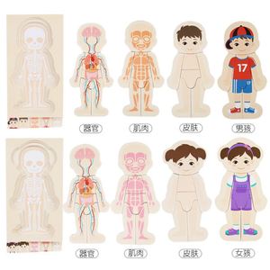 Rompecabezas Montessori de Madera para Aprender sobre las Partes del Cuerpo Humano, Anatomía, Esqueleto, Mi Cuerpo, para Niños Pequeños, Niños y Niñas - Product Image 4