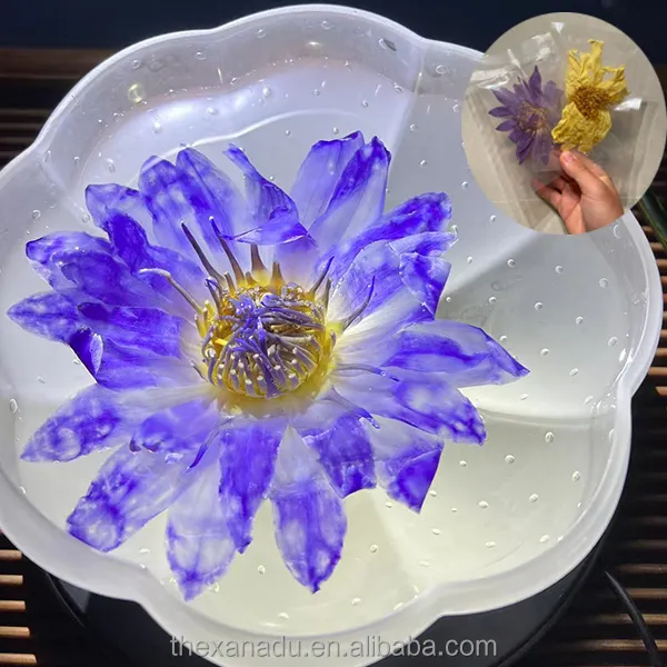Ab gıda uyum poşet paketi doğal kurutulmuş bütün çiçekler güzel çiçeklenme doğal mavi Lotus Nymphaea Caerulea çiçek çayı