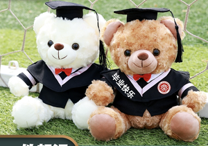 Tốt nghiệp gấu Đồ chơi sang trọng siêu mềm thêu Comforter với PP bông điền biểu tượng tùy chỉnh sinh viên Quà Tặng - Product Image 5