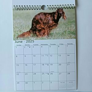 2026 A4 Size Wall <b>Calendar</b> Personalized House Advent <b>Calendar</b> with Pooping Dogs Colorful Spiral Printed Custom <b>Calendar</b> - Product Image 5