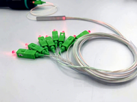 Splitter PLC 1x2 1x4 1x8 1x16 yang Andal dan Ringkas, Tabung Baja Tahan Karat untuk Kabel Komunikasi FTTH, Garansi 3 Tahun