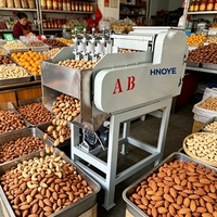 Machine à décortiquer les noix de cajou automatique à haute efficacité avec un taux de décorticage de 95% pour le traitement commercial