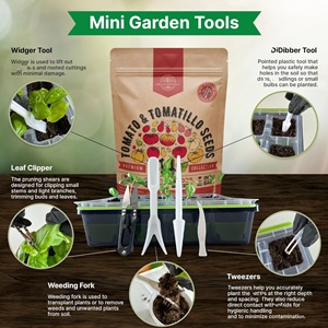 Organo Republic 14 Rare Tomate F1 Hybrid Kit 800 + <span class=keywords><strong>Rouge</strong></span> Extérieur Jardinage Variétés pour Maison Pépinière <span class=keywords><strong>Pot</strong></span> de Fleur - Product Image 3