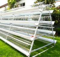 Système d'alimentation automatique pour volailles de type H, en acier inoxydable et acier galvanisé, cage à poulets de chair, élevage avicole, nouveauté
