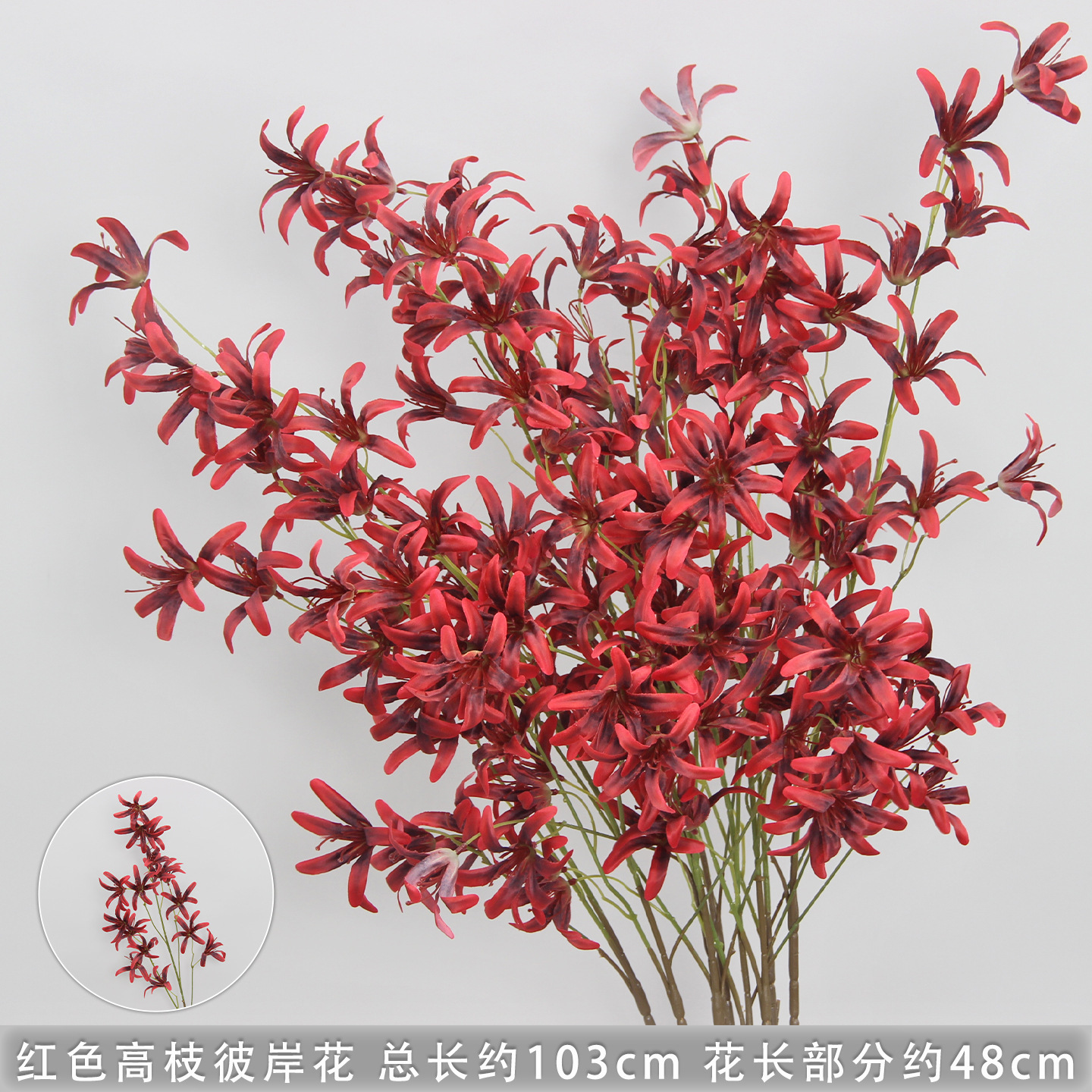Red spider lily branch
