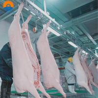 Équipement d'abattage de porcs à haute efficacité pour usine de traitement, machines d'abattoir de porcs, prix usine commercial moderne