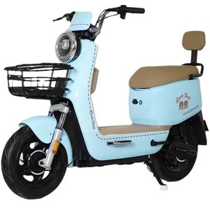 Bicicleta Eléctrica Deportiva Familiar de Lujo de 48V para Adultos con Motor Trasero sin Escobillas - Product Image 1
