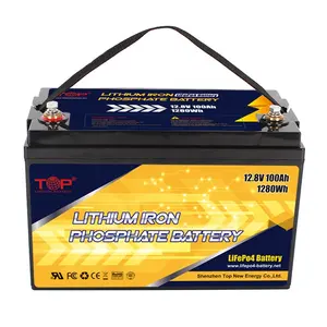 12V 12.8V 100ah LiFeP04 Battery