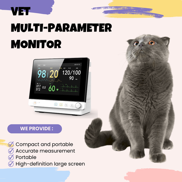 Professional Medical Patient Monitoring Device with 8 Inch Color Screen and Power Off Data Storage Function