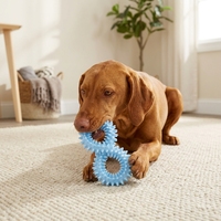 Jouet à mâcher pour chien en TPR couleur macaron, anneau à picots, nettoyage des dents, résistant à l'usure, jouet interactif pour animaux de compagnie pour l'intérieur et l'extérieur