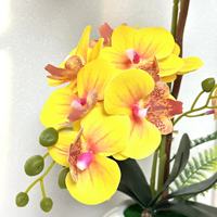 Plante artificielle Phalaenopsis en pot, toucher réaliste, fausse orchidée, bonsaï moderne pour la maison, le bureau, la table, les mariages