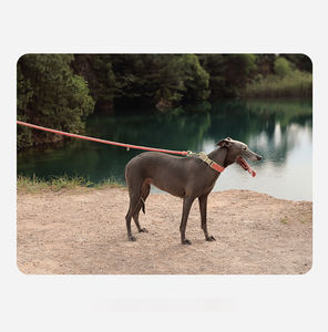 Collar de perro tejido de cuerda de lujo, Collar de Paracord trenzado, Collar de perro de nailon de cuero tejido con Cable ajustable - Product Image 4