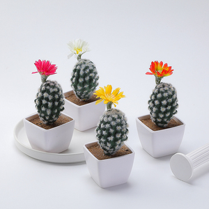 Plante verte petit Pot Cactus en pot intérieur figue de barbarie succulente fleur plante bureau décoration de bureau - Product Image 1