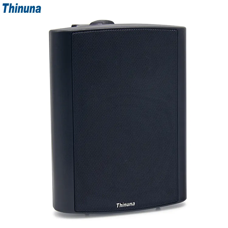 Thinuna FS-W6L-BT, оптовая продажа, аудиосистема, звуковая Беспроводная Bluetooth, настенный динамик с усилителем для домашнего кинотеатра