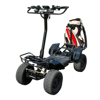 Carrito de Golf Plegable de 4000W a Precio de Fábrica, Mini Carrito de Golf de 1 Plaza, Buggy de Golf 60V 4x4, Carrito de Golf Eléctrico Utilitario de 1 Plaza