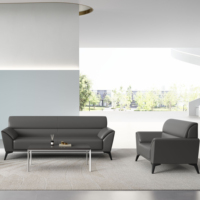Ensemble de canapés de bureau exécutifs en cuir, modernes, écologiques, durables, avec cadre en bois et pieds en métal, siège individuel