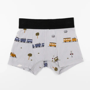 Caleçons en coton pour enfants à motif dessin animé, vente chaude en usine, sous-vêtements pour garçons, caleçons pour enfants, Calcinha Infantil - Product Image 3