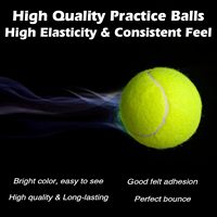Balles de tennis de haute qualité, lot de 12, maille élastique et épaisse, sac pour l'entraînement sportif, robuste et adapté à l'entraînement