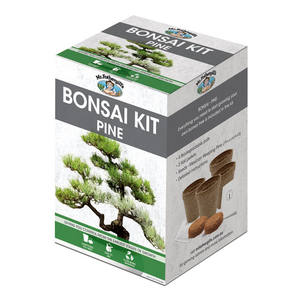 Kit <span class=keywords><strong>de</strong></span> cultivo <span class=keywords><strong>de</strong></span> bonsái <span class=keywords><strong>de</strong></span> <span class=keywords><strong>pino</strong></span> al mejor precio <span class=keywords><strong>de</strong></span> alta calidad para el hogar Kit <span class=keywords><strong>de</strong></span> inicio <span class=keywords><strong>de</strong></span> cultivo <span class=keywords><strong>de</strong></span> árboles para productos <span class=keywords><strong>de</strong></span> regalo únicos para hombres - Product Image 3