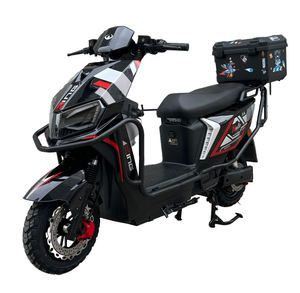 Scooter Elettrico/Ciclomotore a Pedali SANMAZI da 800W a 2 Ruote per Adulti Modello Owl Eagle in Super Offerta - Product Image 3